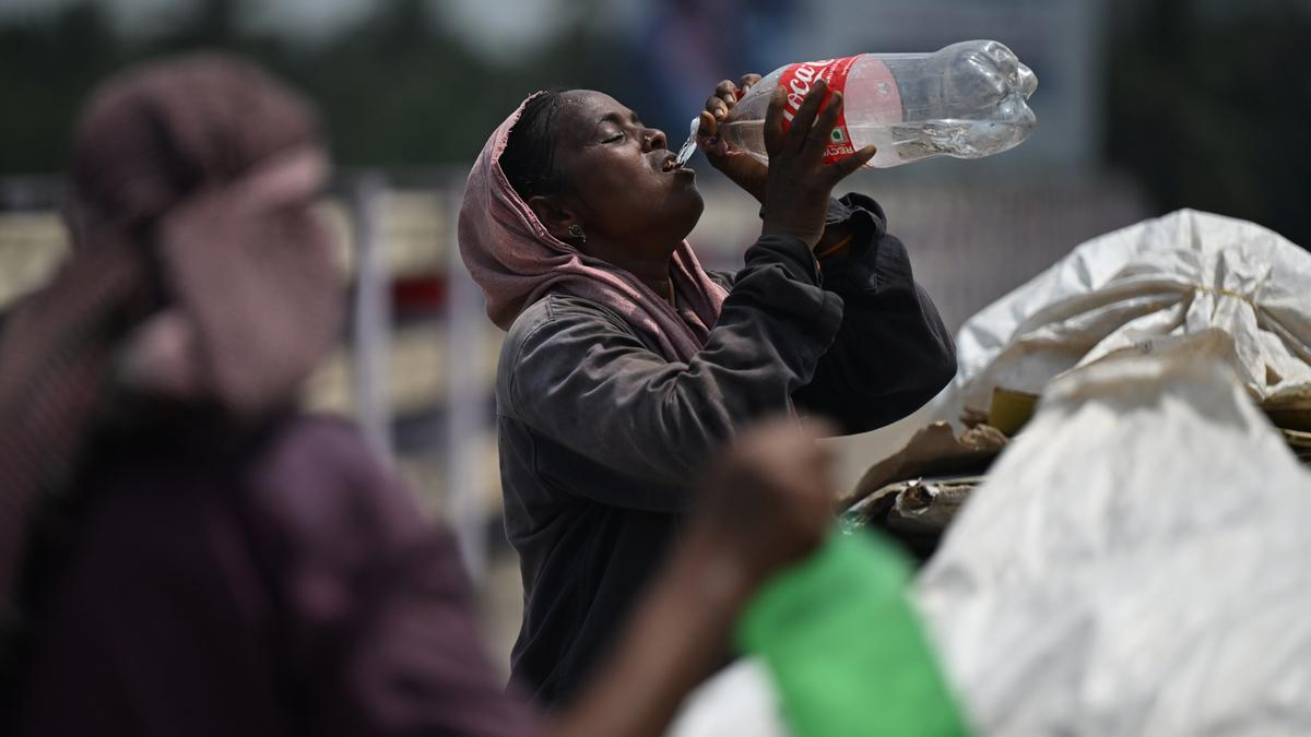 Weather office forecasts